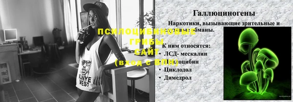 бошки Верхний Тагил