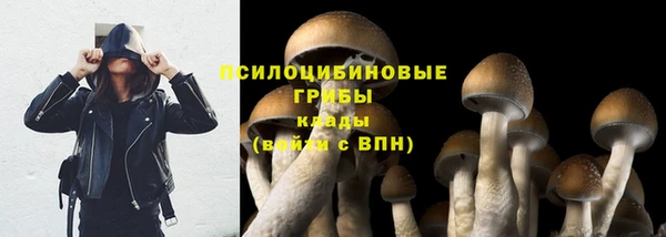бошки Верхний Тагил