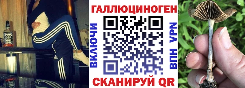 Купить закладки Валуйки Псилоцибиновые грибы MAGIC MUSHROOMS